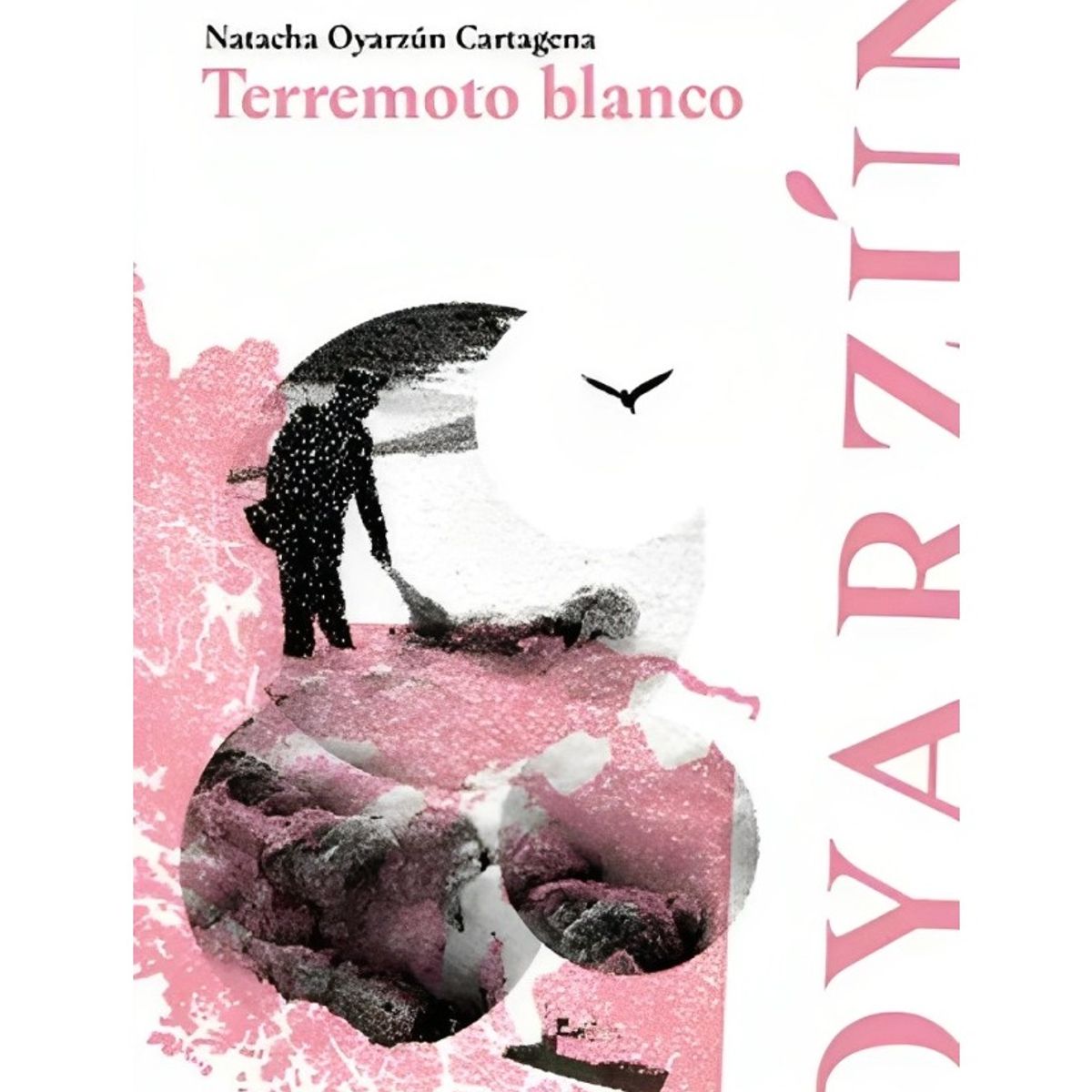 TOP10BOOKS - LIBRO Terremoto Blanco - Terremoto Blanco