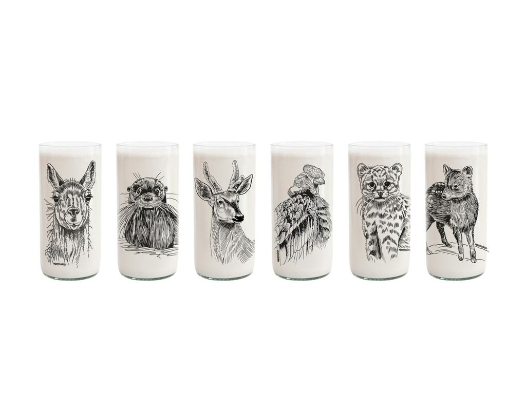 Fauna Chilena - Juego de 6 vasos