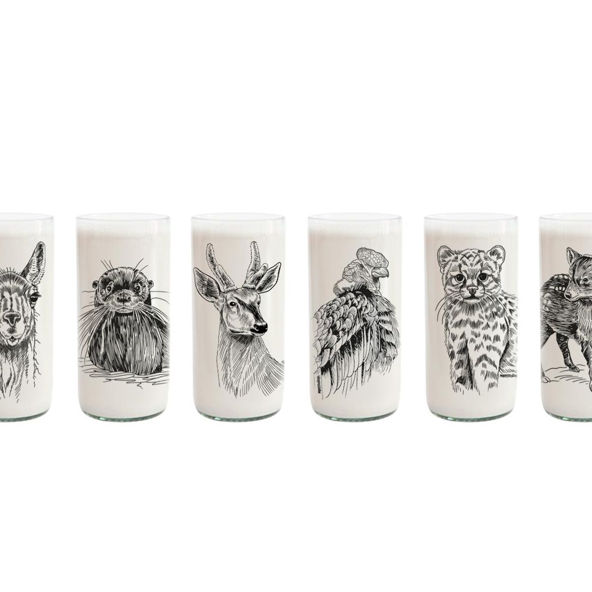 GREEN GLASS - Fauna Chilena - Juego de 6 vasos