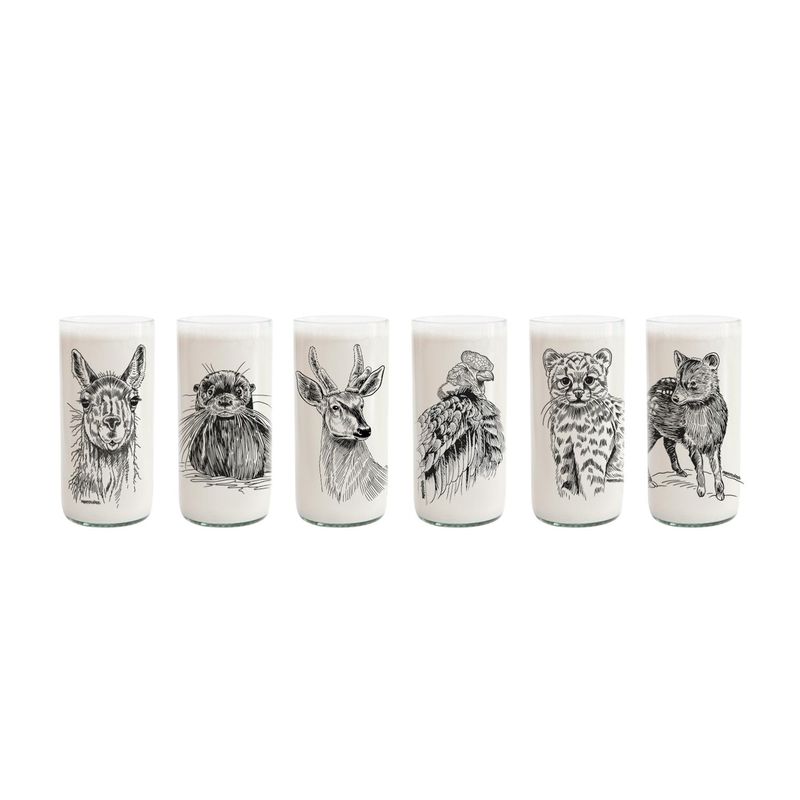 GREEN GLASS - Fauna Chilena - Juego de 6 vasos
