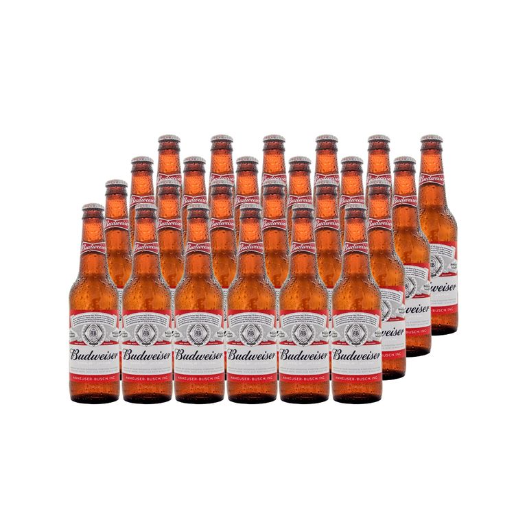 24x Cerveza Botellin 4.8 330cc