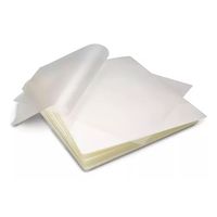 Micas 100 Lamina Para Termolaminado Plastificar A3