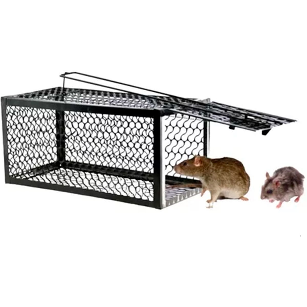 GENERICO - Trampa Para Ratones Captura Automatica