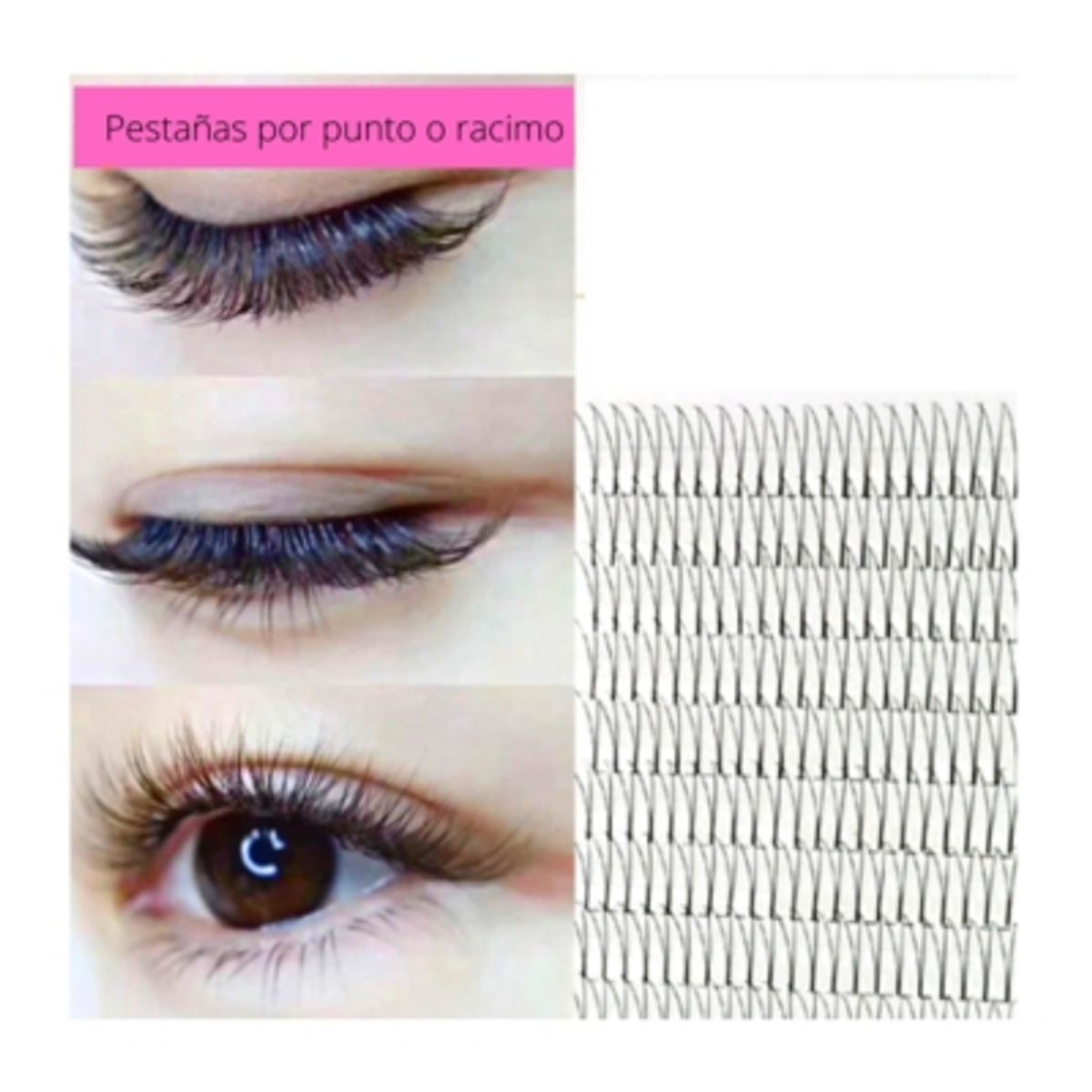 GENERICO - Pestañas De Racimo O Por Punto Nro 16 mm.