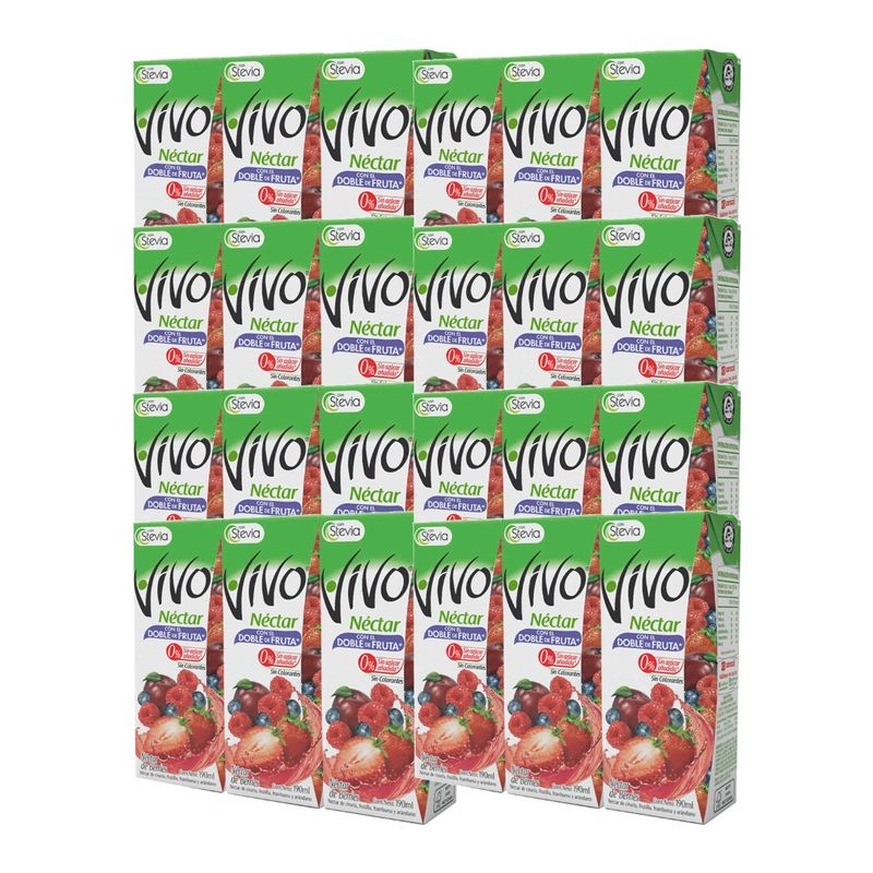 VIVO - Caja Jugos Néctar Vivo Doble Fruta 24 Unidades 190ml Berries