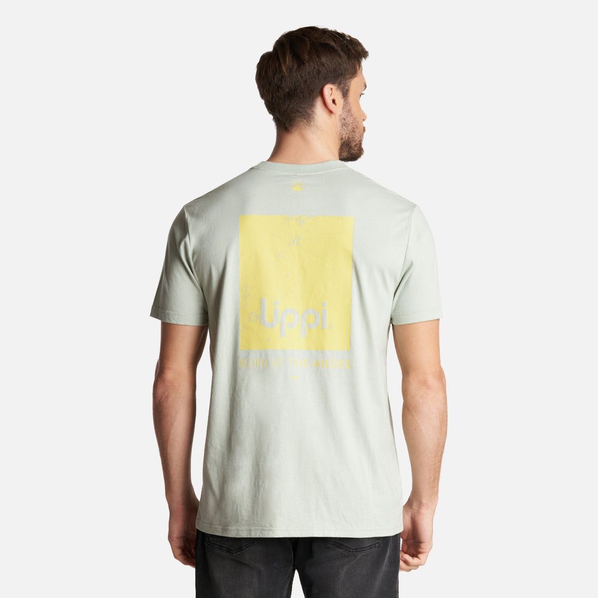 LIPPI - Polera Hombre Logo Lippi Back Print T-Shirt Jade Lippi