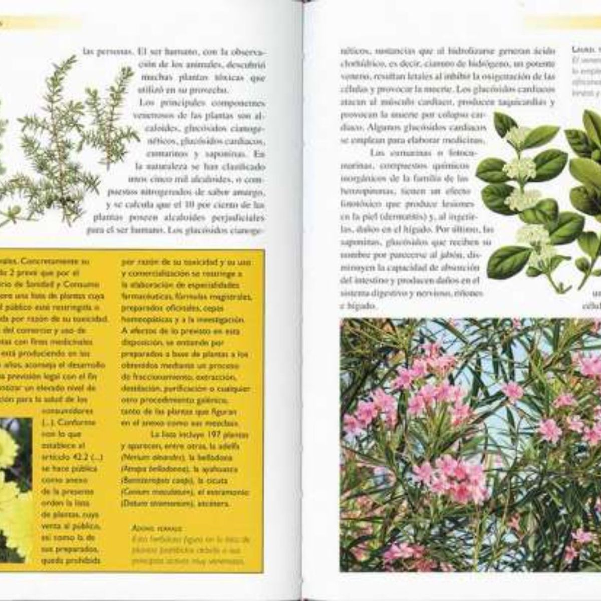 SUSAETA - Atlas ilustrado Alucinógenos venenos y afrodisiacos