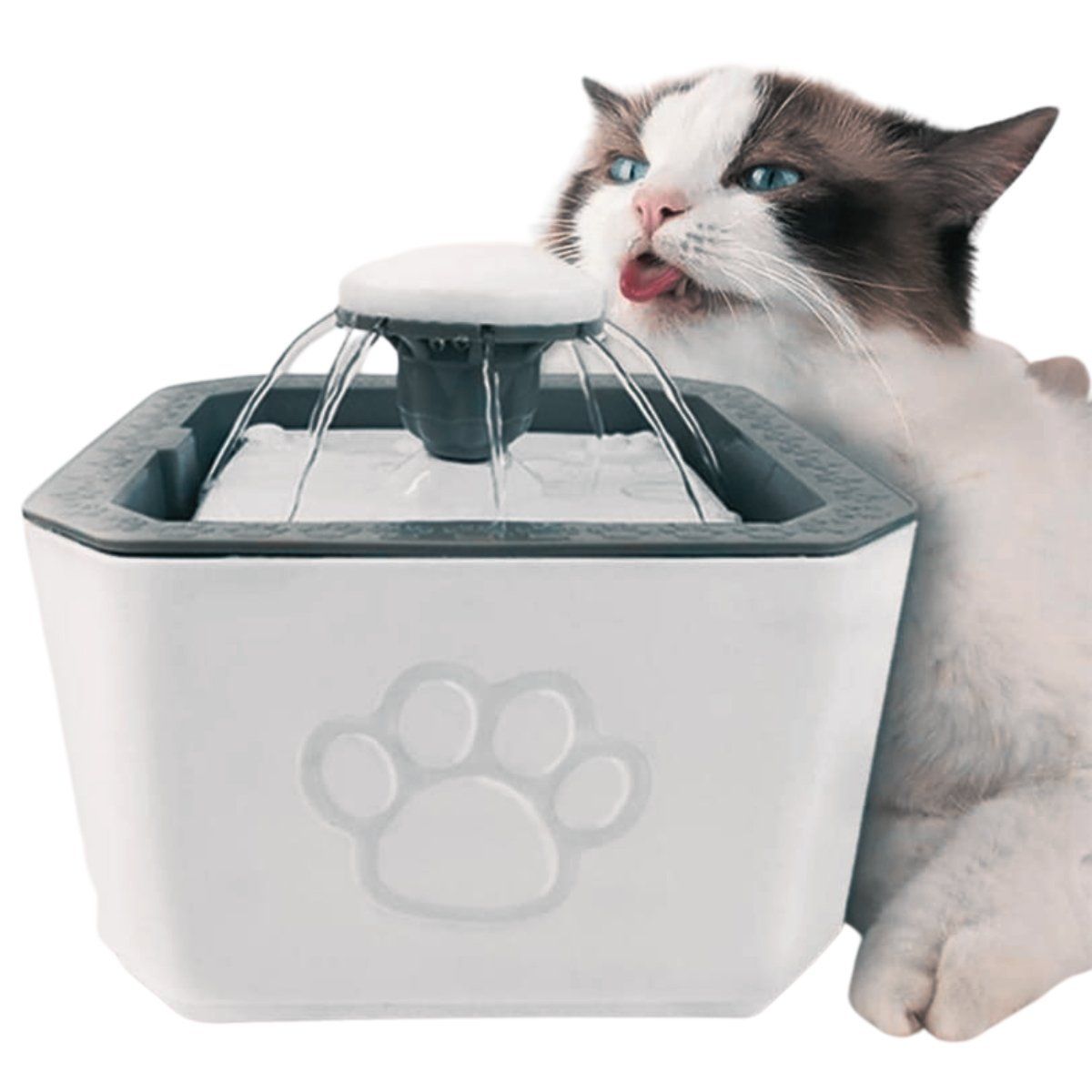 CHILE TENDENCIA - Bebedor de Agua para Gatos Fuente Electrico con Filtro