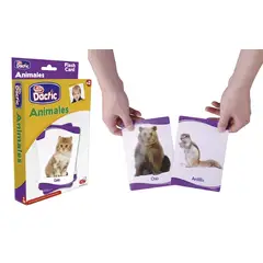 DACTIC - Lamina Animales