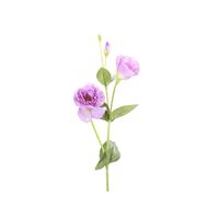 Vara Lisianthus púrpura 82 cm