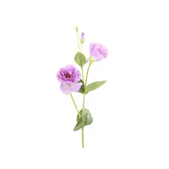 SOHOGAR - Vara Lisianthus púrpura 82 cm