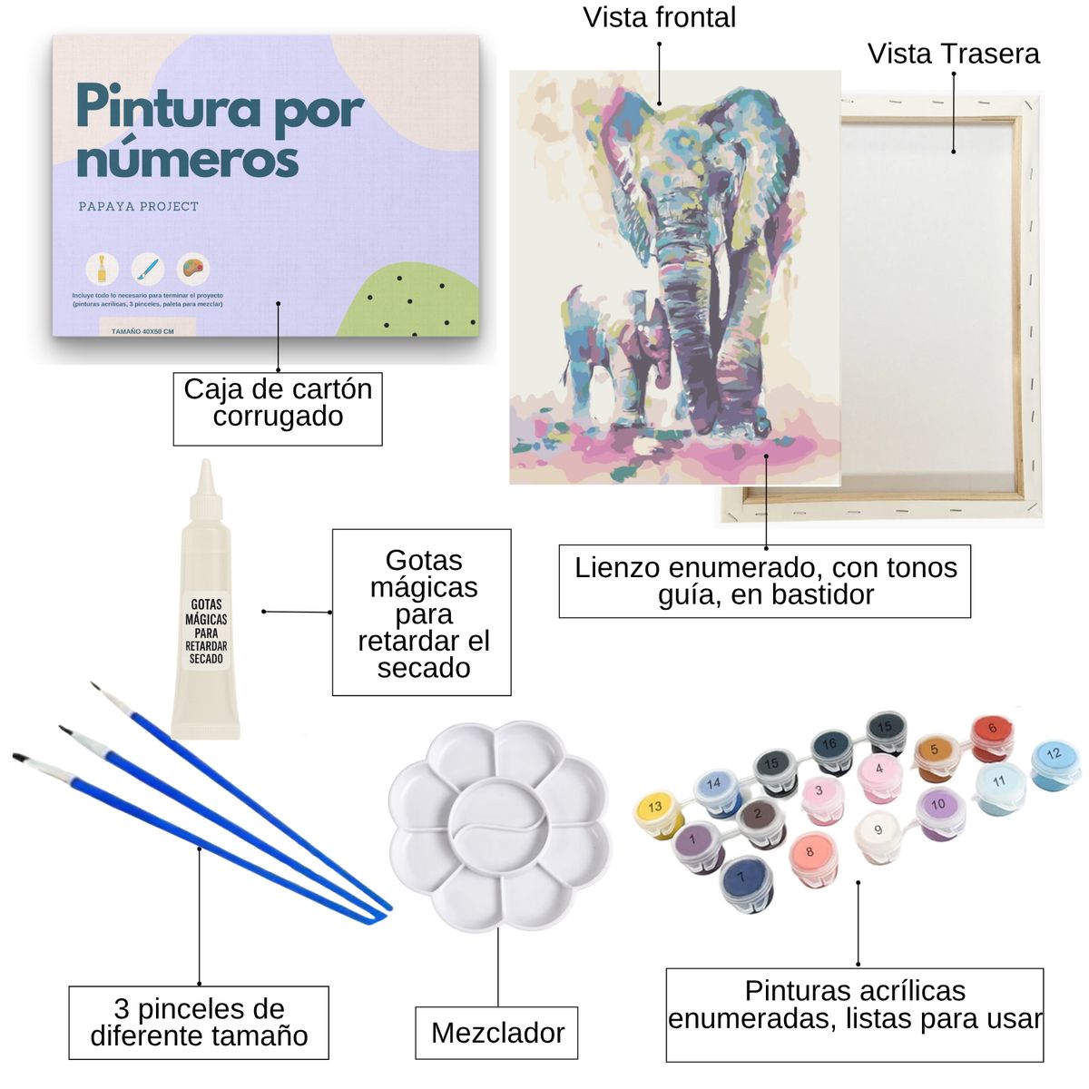 GENERICO - Pintura Por Números - Marco Incluido - Paint By Numbers 44