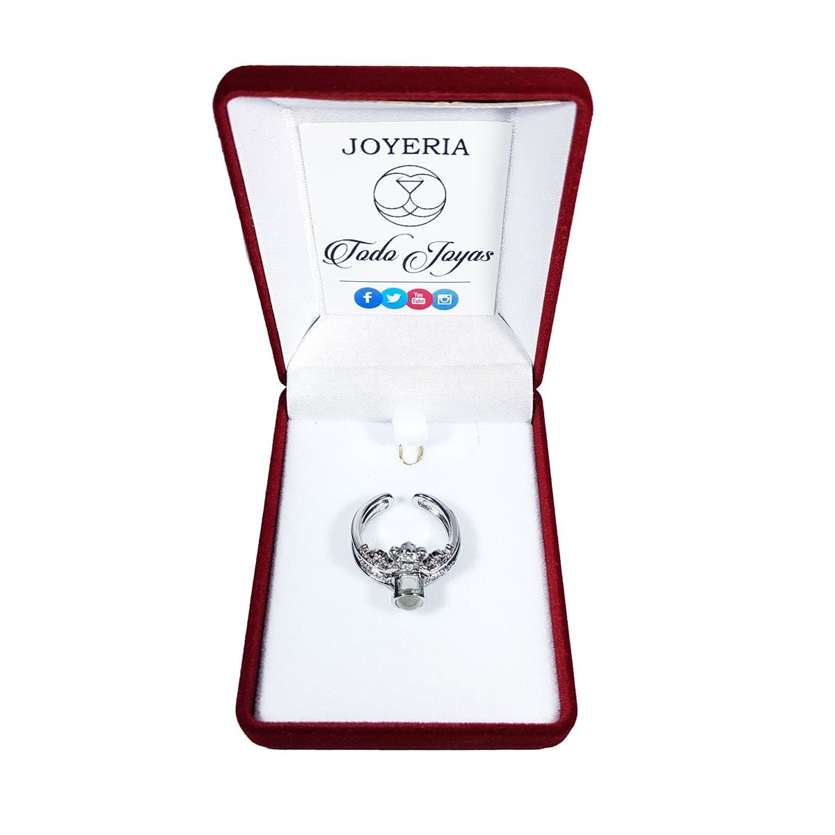 TODOJOYAS - Anillo Te amo en 100 Idiomas Plateado