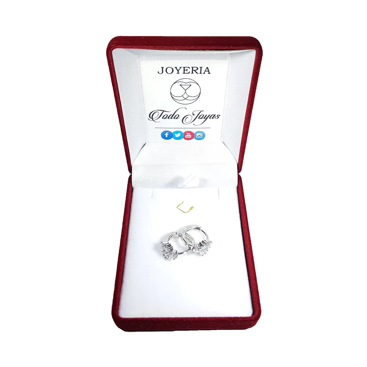 TODOJOYAS - Aros Flor Circones Plateado.-