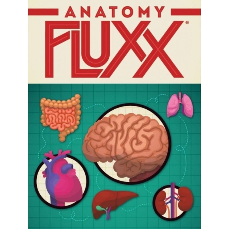 GENERICO - CONTINUUM GAMES ANATOMY FLUXX