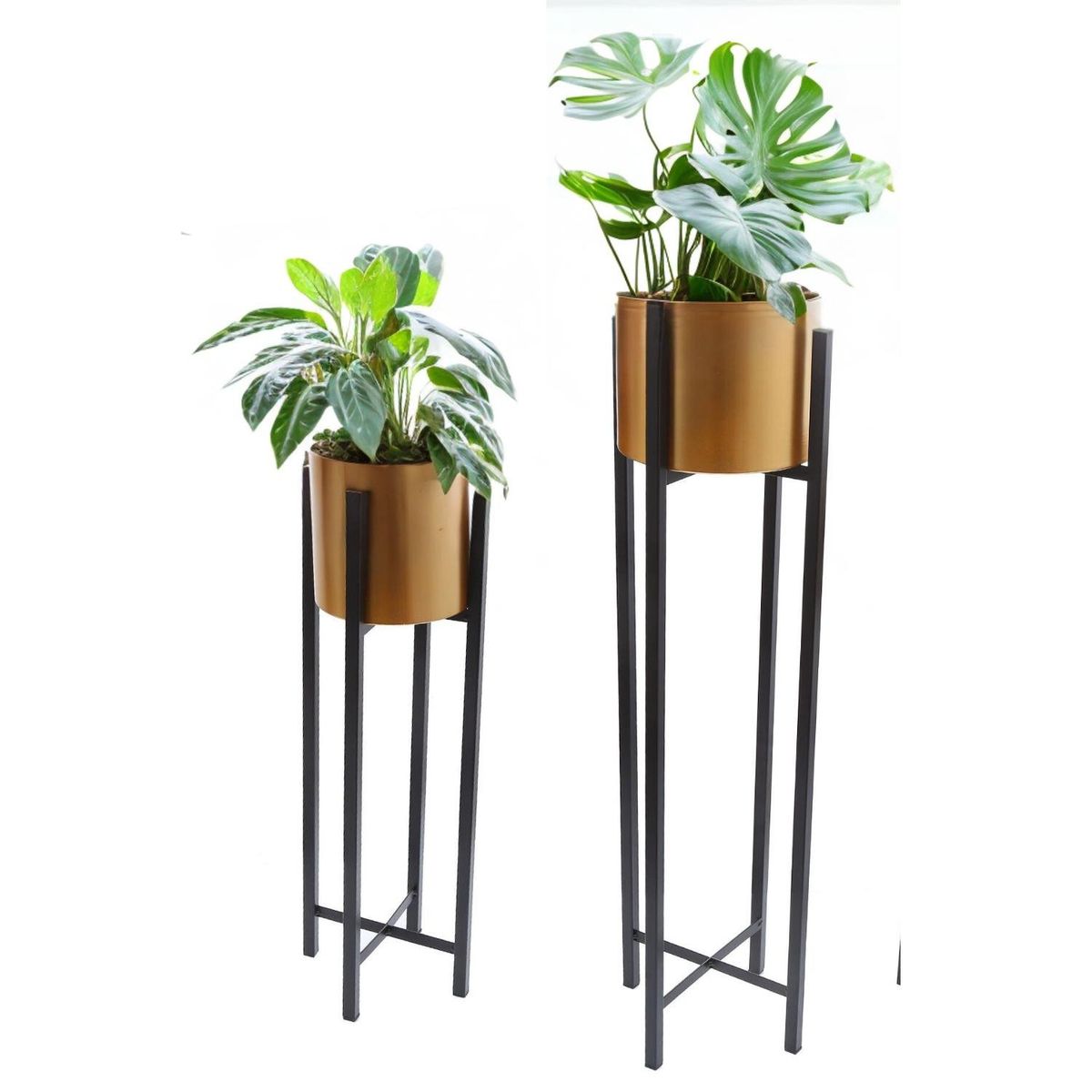 HOME ESSENTIALS - Set 2 maceteros con pedestal dorados