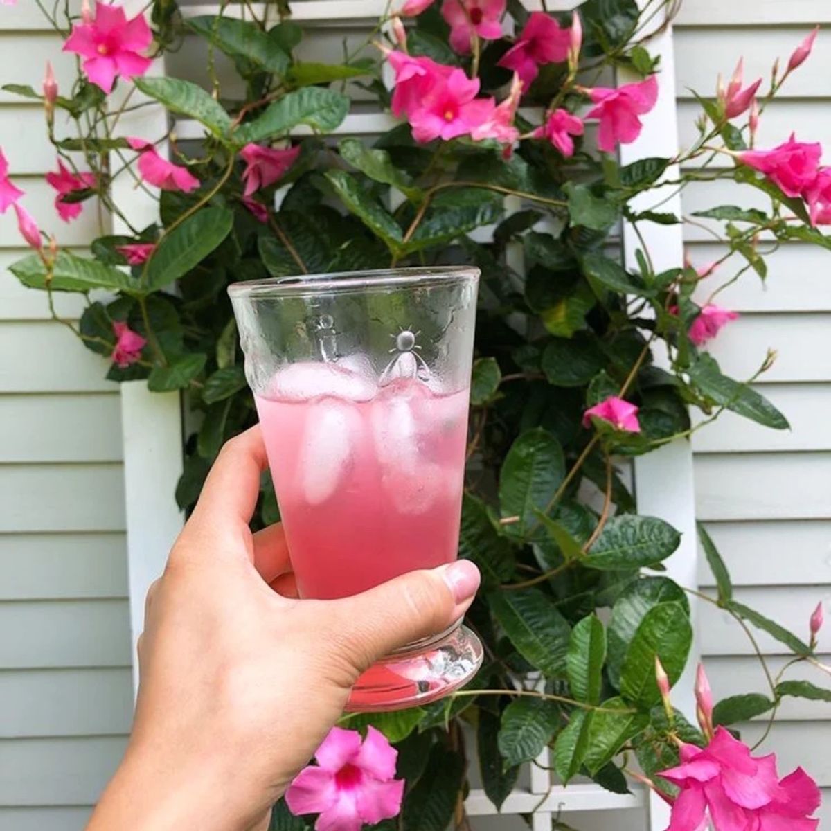 LA ROCHERE - SET 6 VASOS ALTO ABEJA 310ML