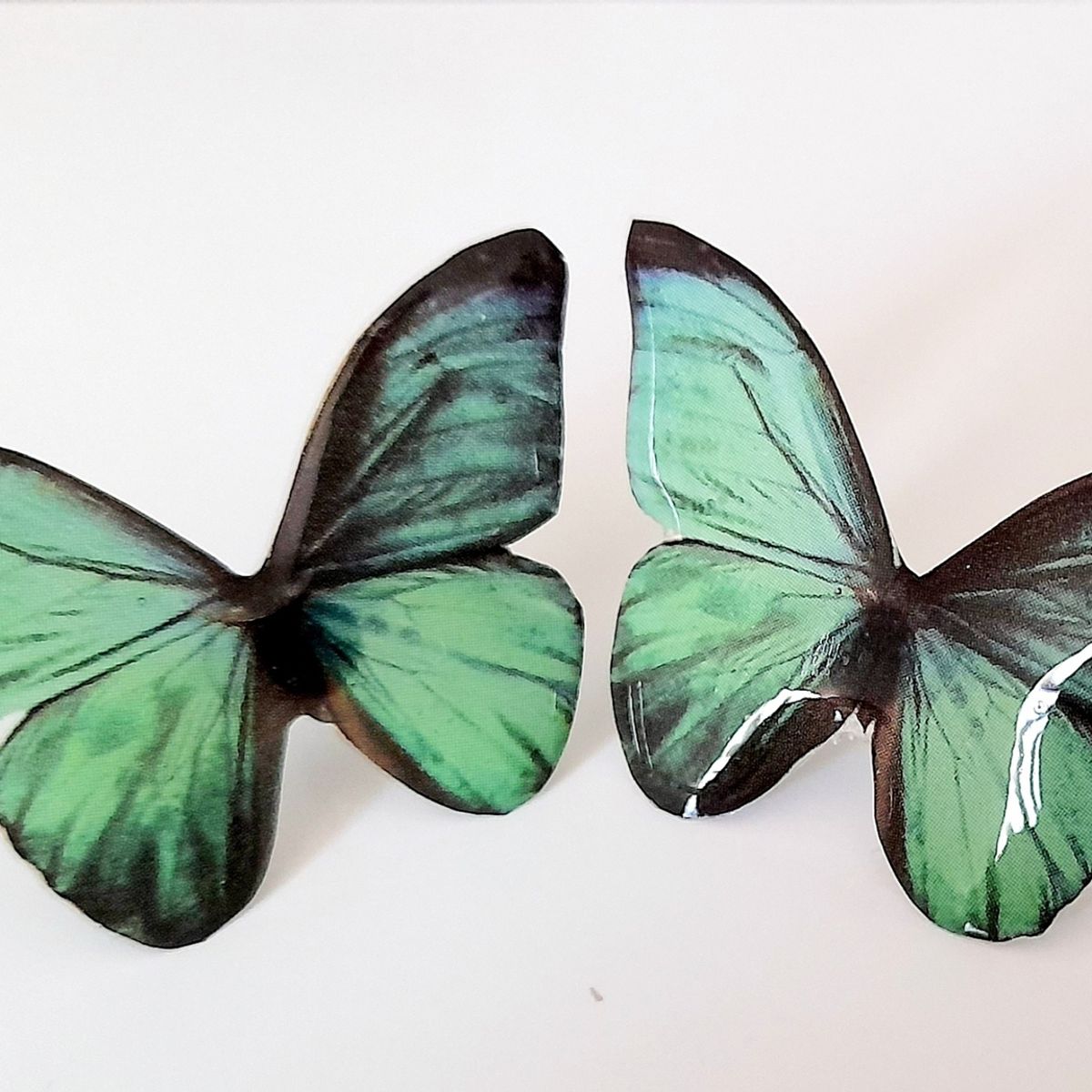 CATHALIFAUDJOYAS - Aros mariposas CathalifaudJoyas