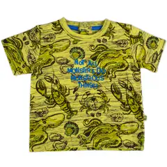 PILLIN - Polera Bebe Niño Verde