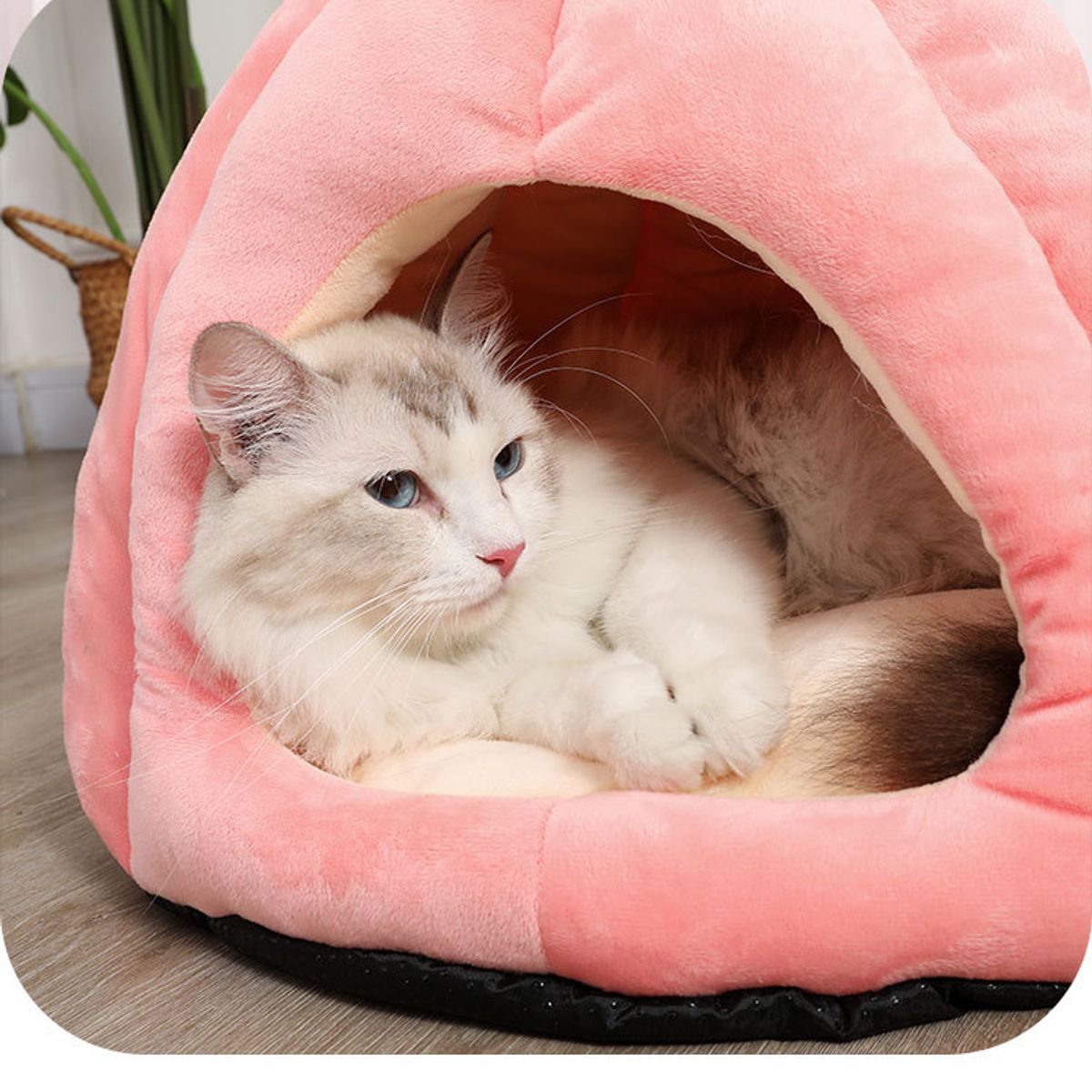 CRUSEC - Casa Nido Perros Gatos Calabaza Melon Plegable Talla L Rosa