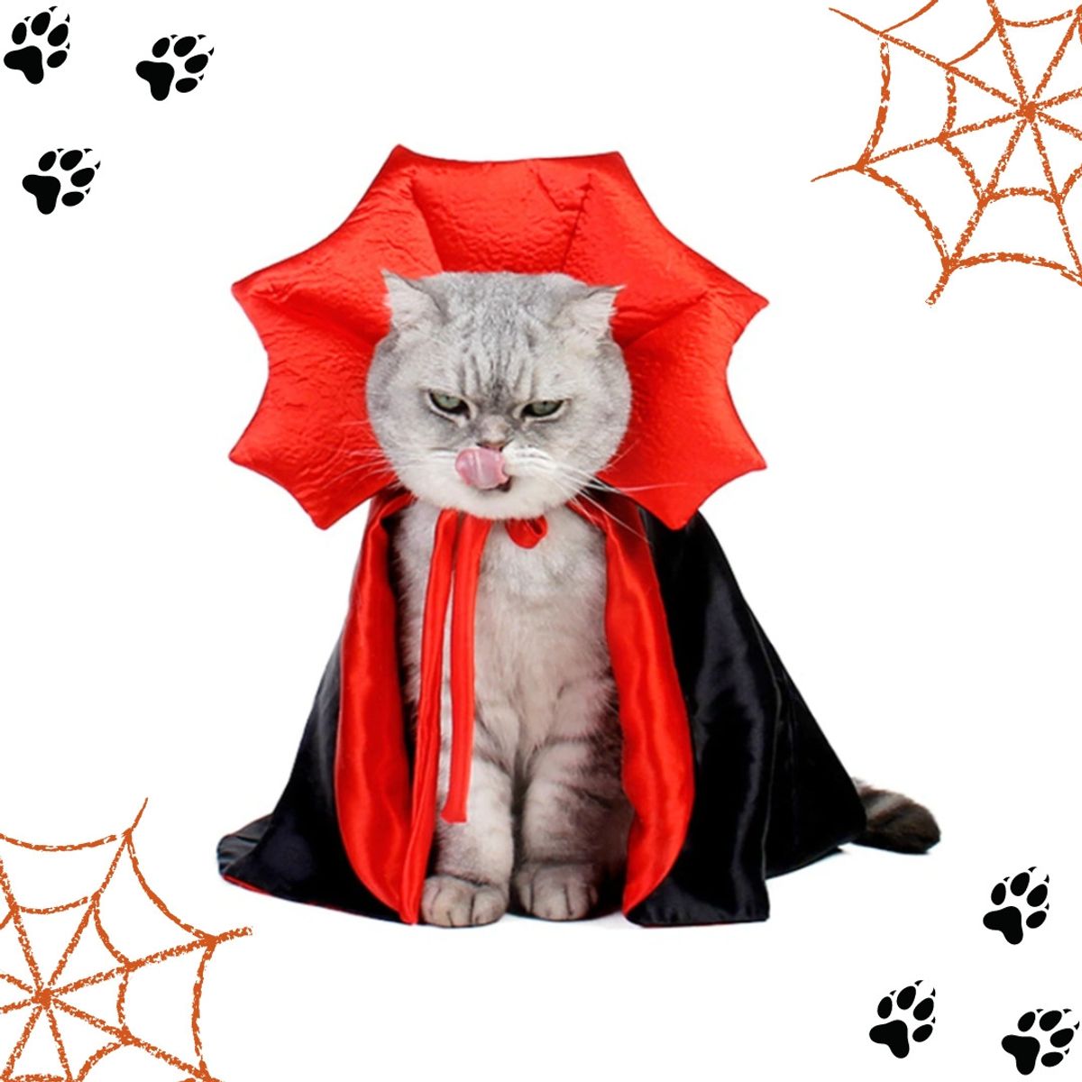 GENERICO - Capa Halloween para Perro o Gato Disfraz Drácula