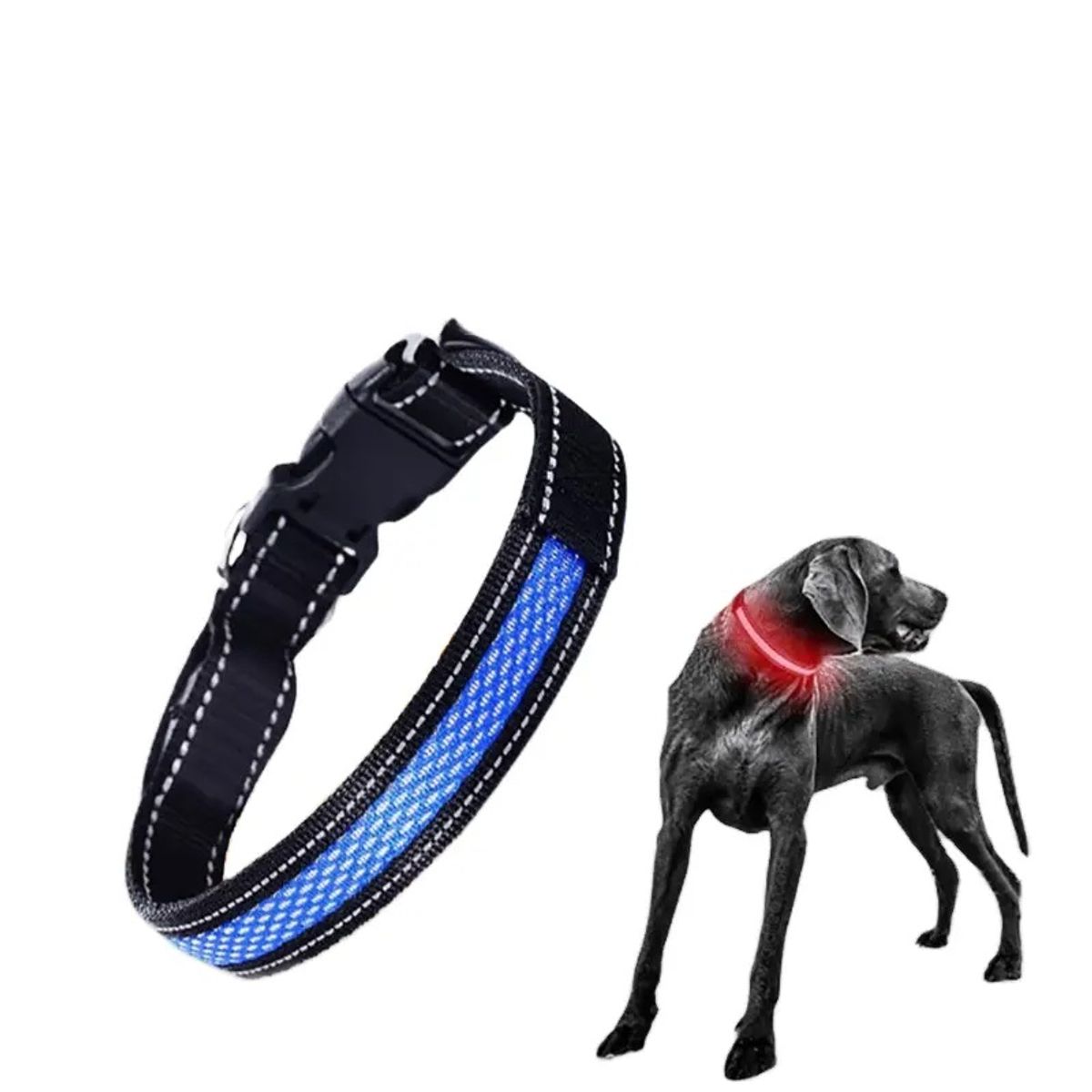 GENERICO - Collar LED Ajustable con Carga USB Perros y Gatos Talla M Azul  6hrs 250 mAh