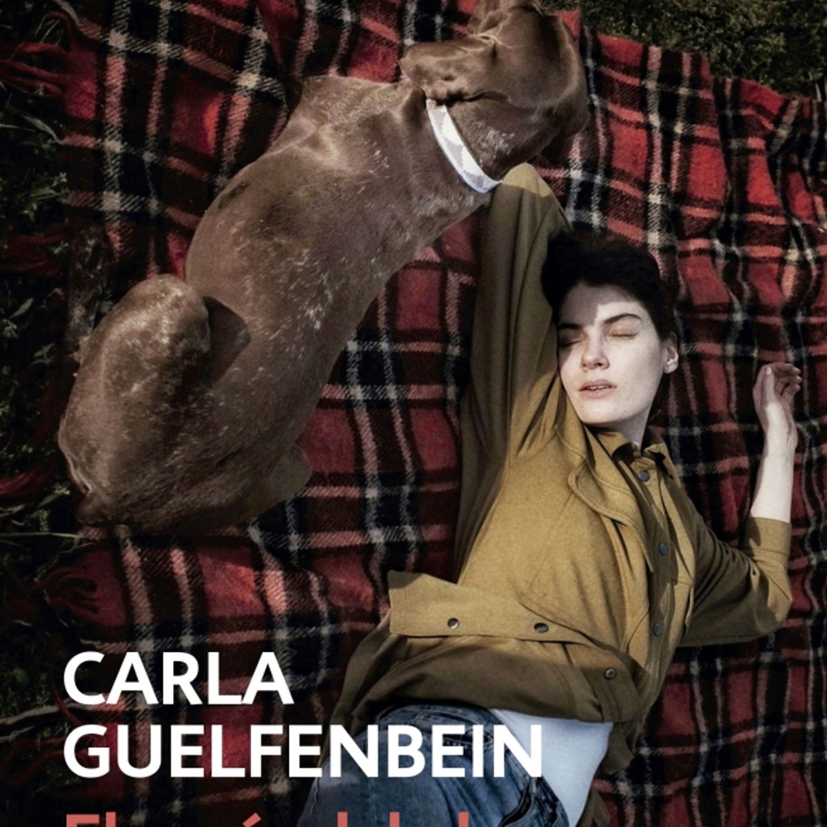DEBOLSILLO - Libro El revés del alma - Carla Guelfenbein
