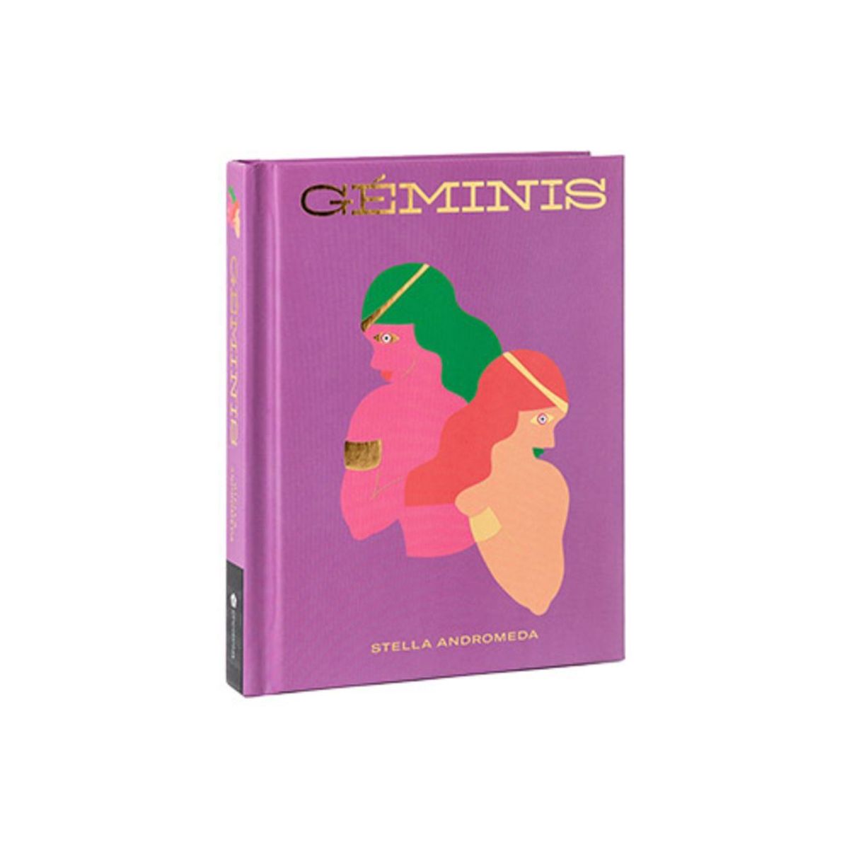 CINCO TINTAS - Libro Géminis - Stella Andromeda