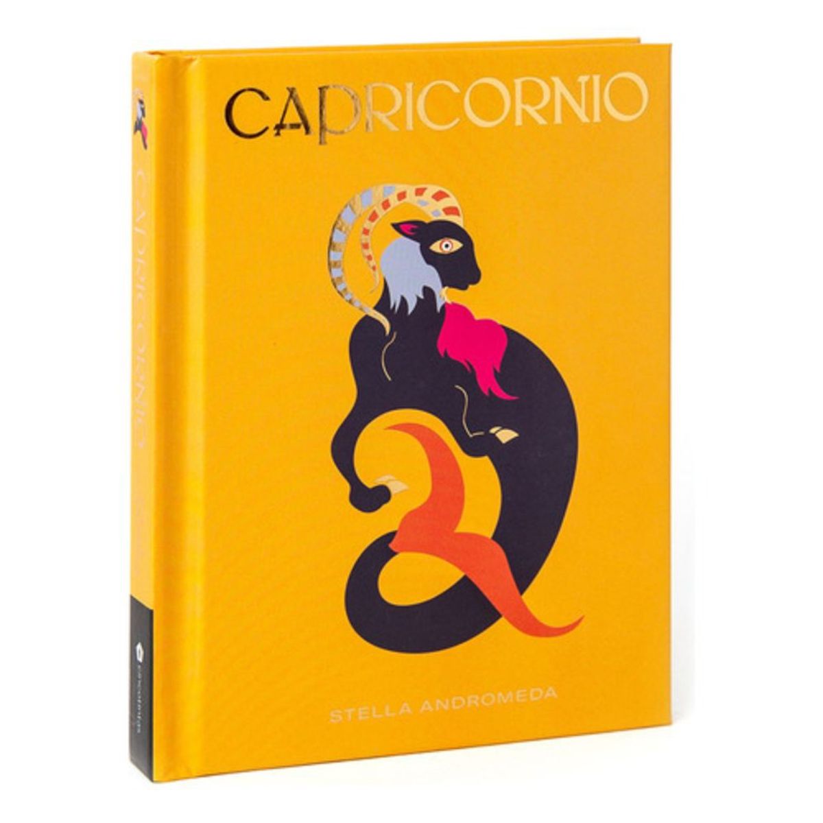 CINCO TINTAS - Libro Capricornio - Stella Andromeda