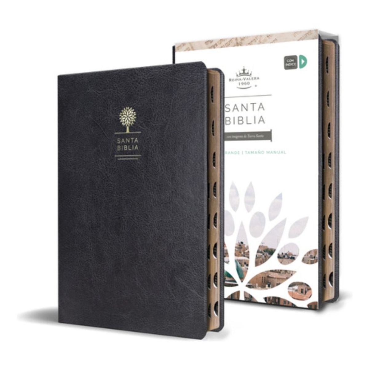 ORIGEN - Biblia Rvr60 - Imitación Piel - Negra