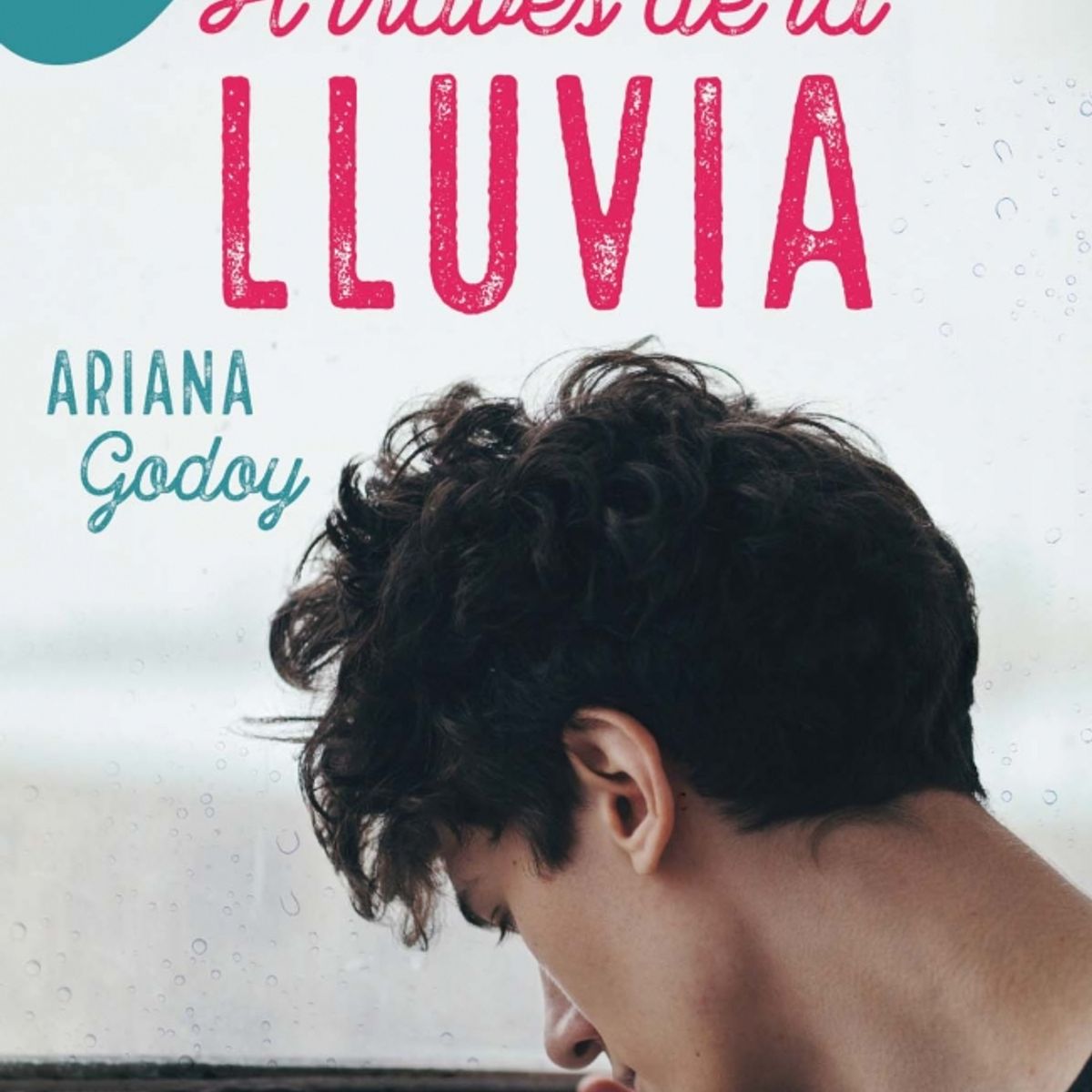 MONTENA - Libro A través de la lluvia - Ariana Godoy