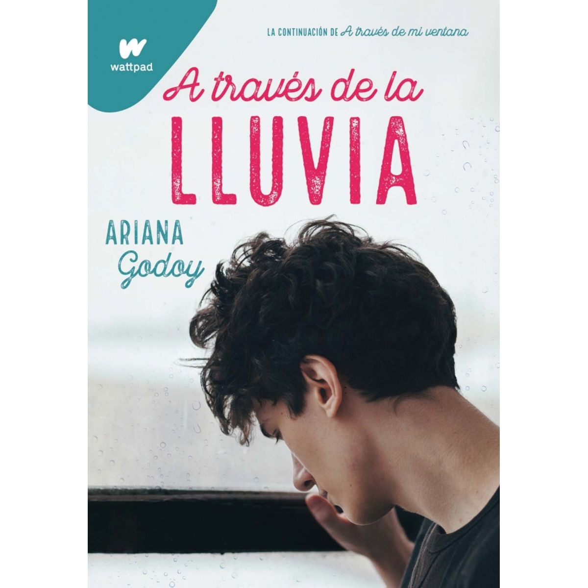 MONTENA - Libro A través de la lluvia - Ariana Godoy