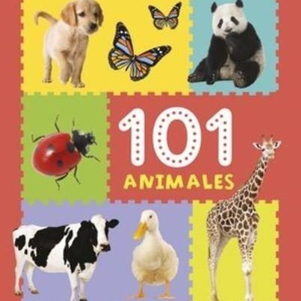 EL GATO DE HOJALATA - Libro 101 Animales - El Gato De Hojalata
