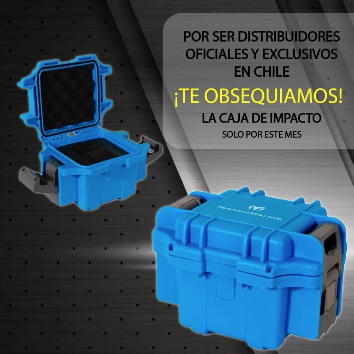 TECHNOMARINE - Reloj Technomarine TM-222011 Manta Quartz Mujer