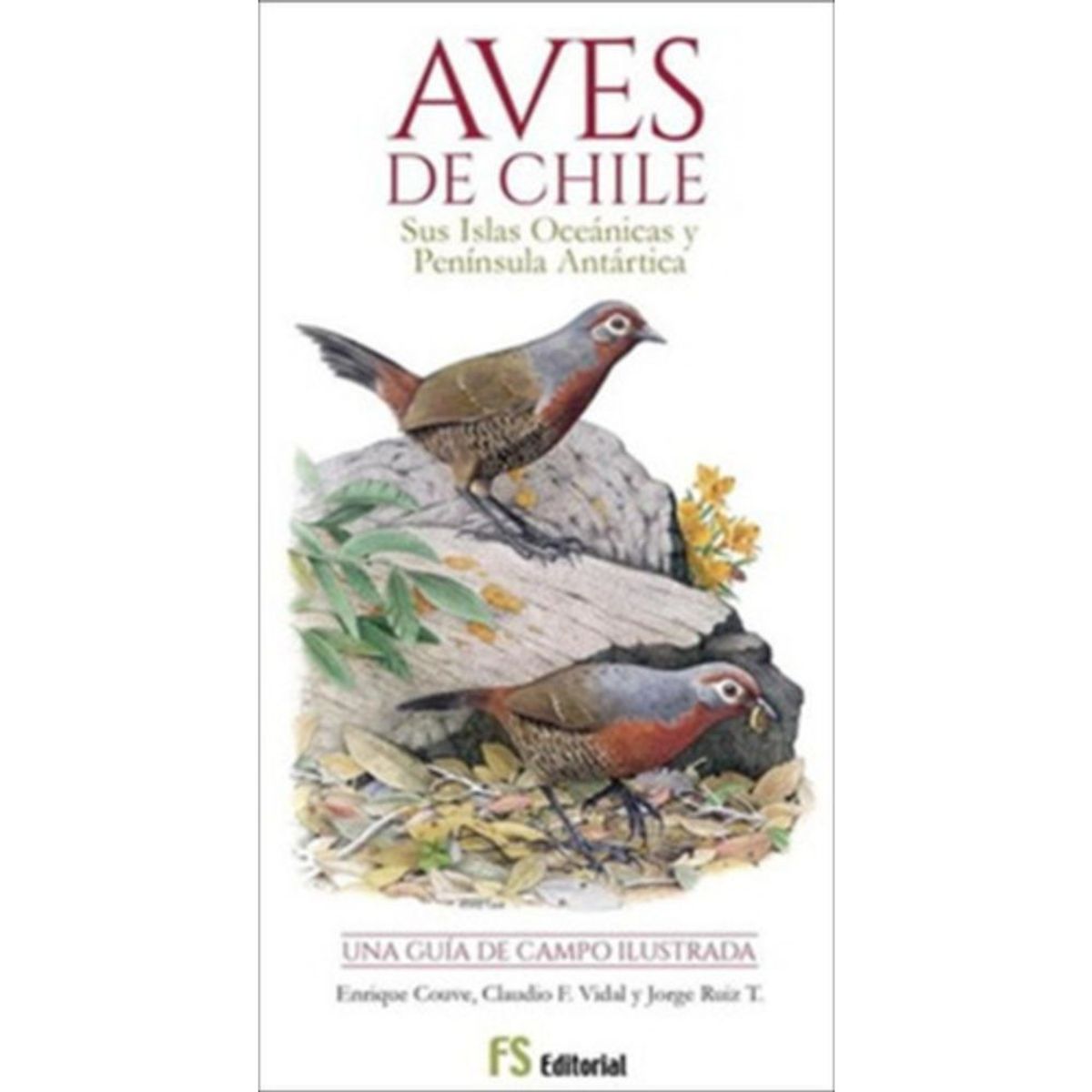 GENERICO - Aves De Chile - Guía De Campo - Couve / Vidal / Ruiz T.