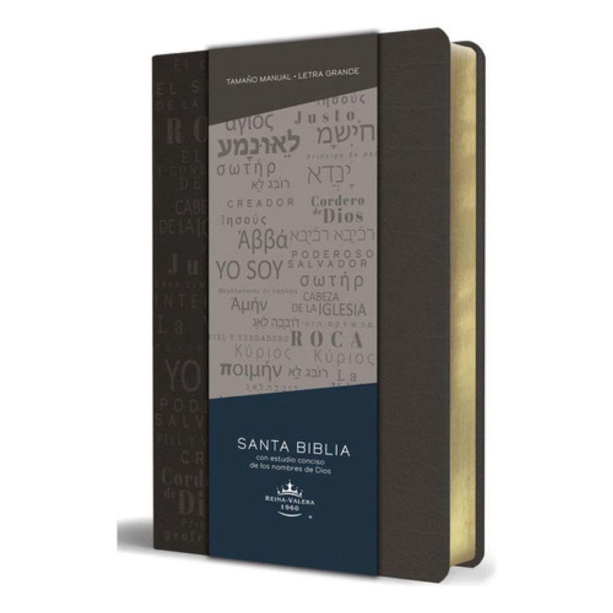 ORIGEN - Biblia Rvr60 - Nombres De Dios - Piel Gris