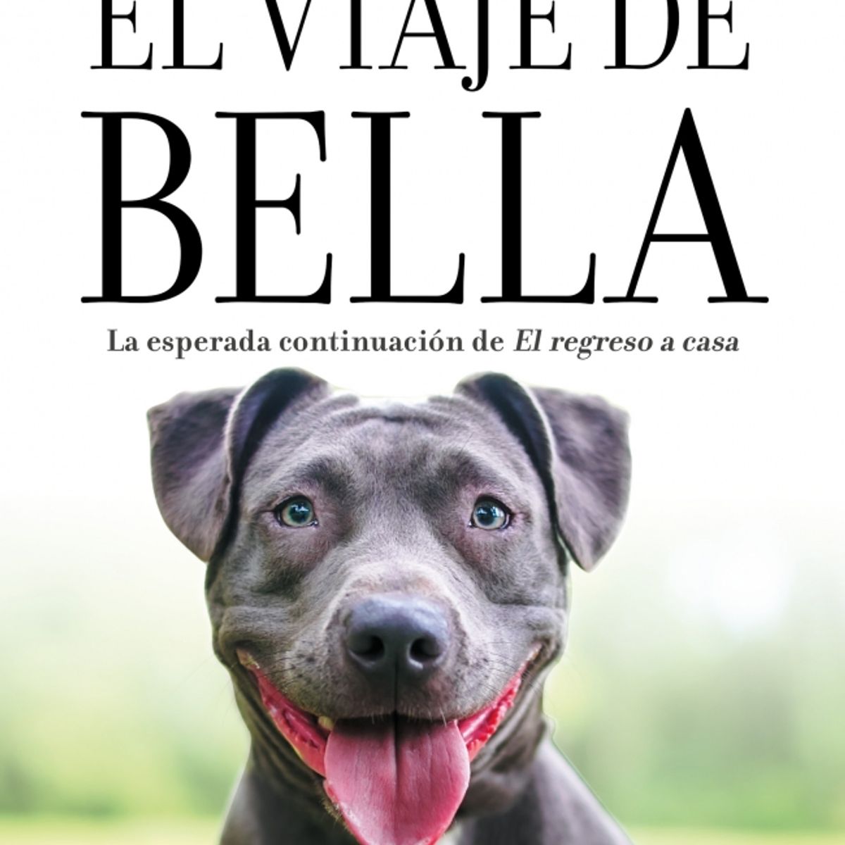 ROCA EDITORIAL - Libro El viaje de bella - W. Bruce Cameron