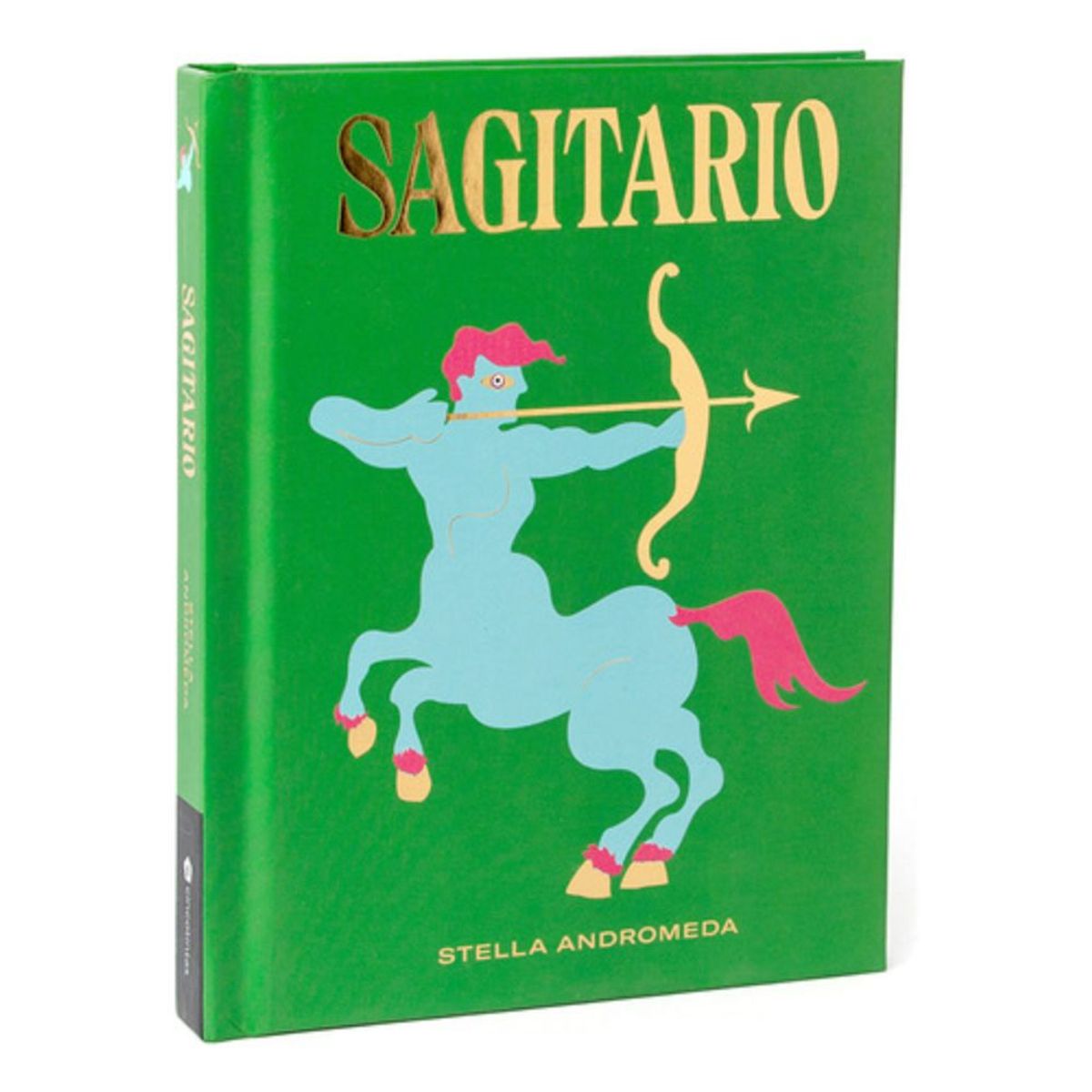 CINCO TINTAS - Libro Sagitario - Stella Andromeda