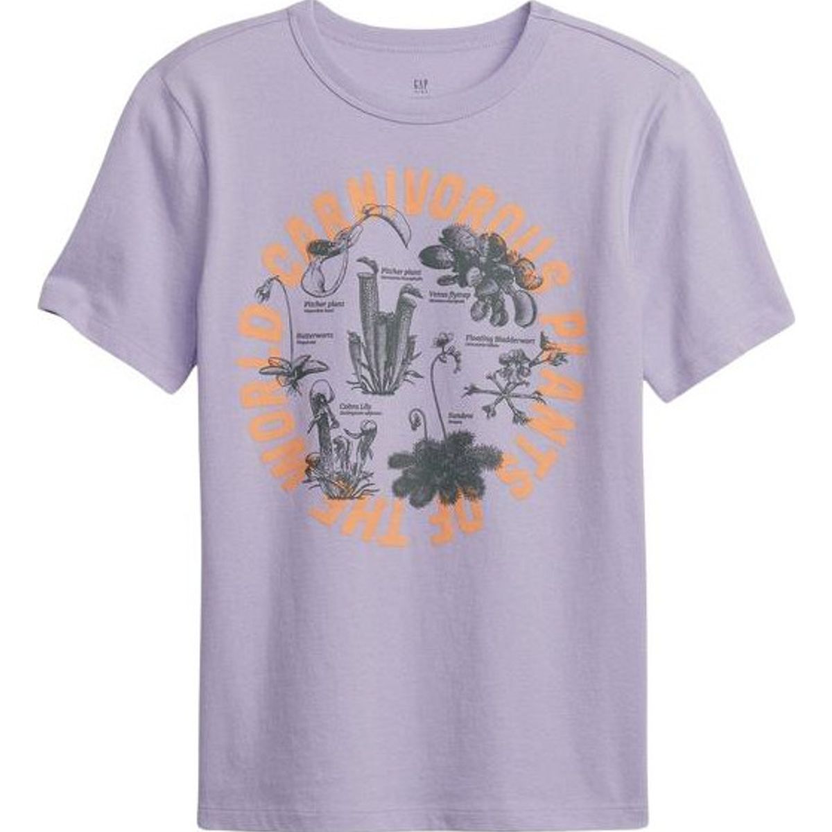 GAP - Polera Gráfica Manga Corta Lila GAP