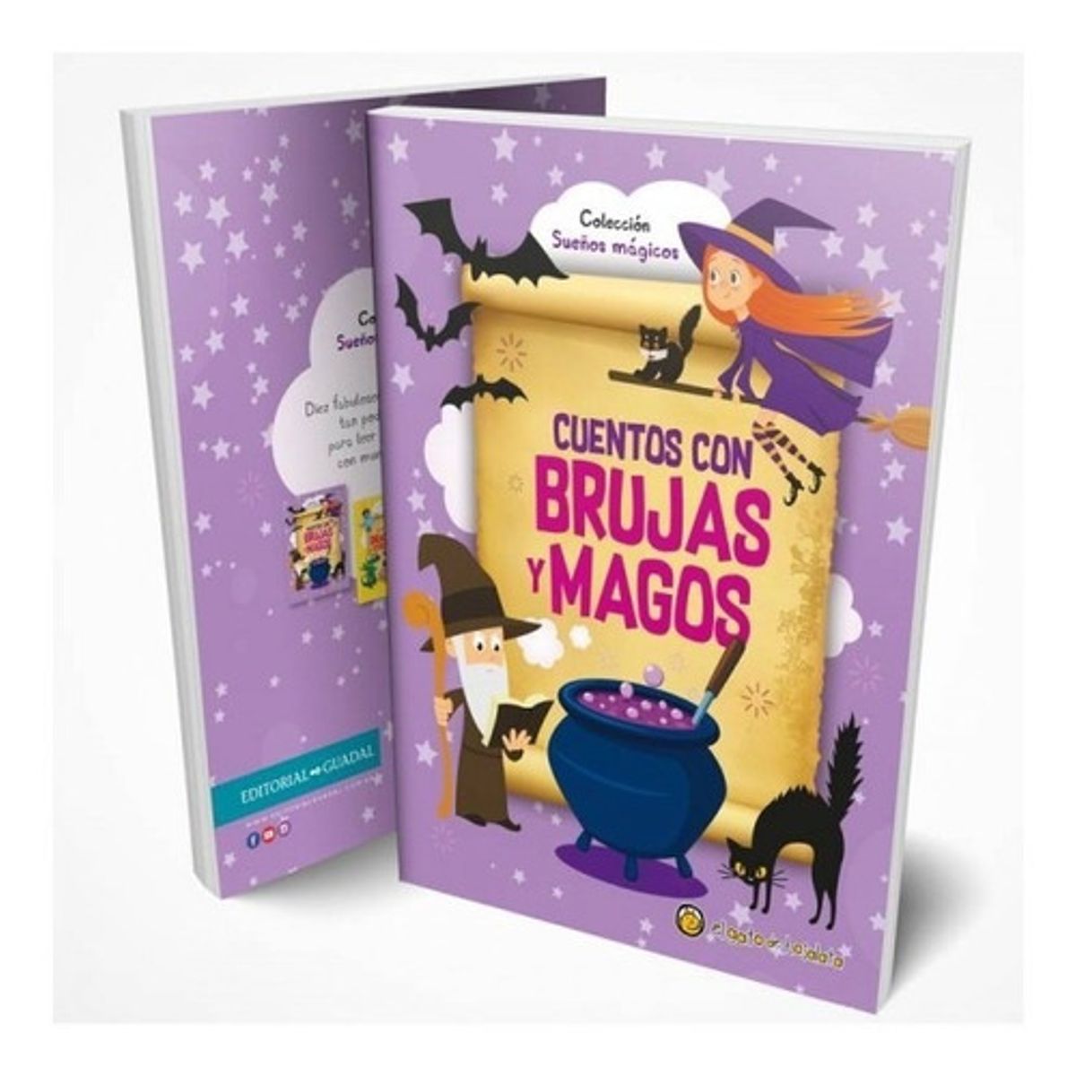 EL GATO DE HOJALATA - Cuentos Con Brujas Y Magos - El Gato De Hojalata