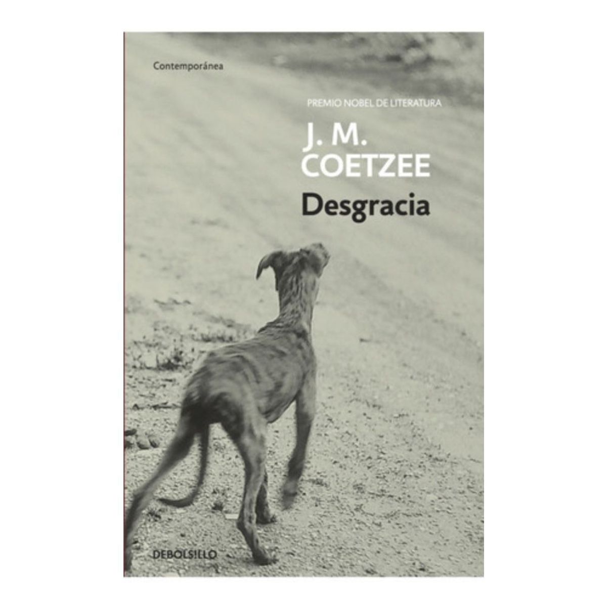 LITERATURA RANDOM HOUSE - Libro Desgracia - J.m. Coetzee