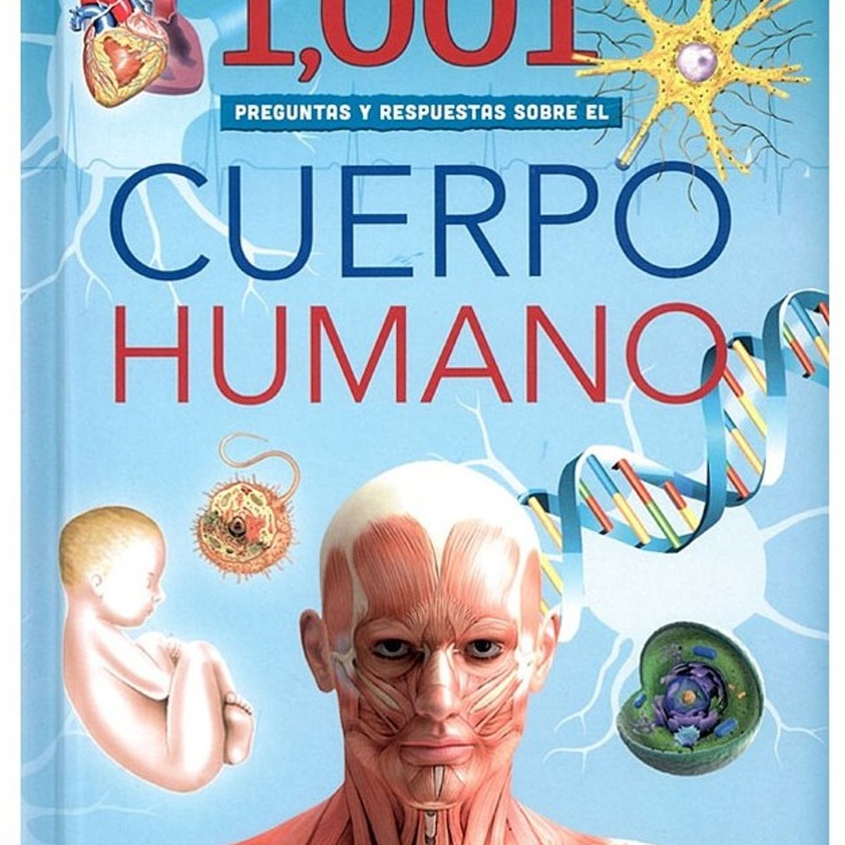 SILVER DOLPHIN - 1001 Preguntas Y Respuestas Sobre El Cuerpo Humano