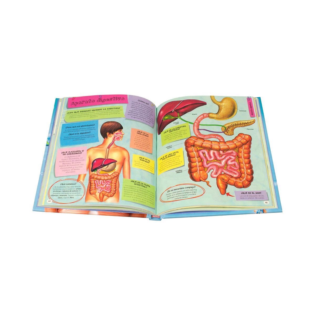 SILVER DOLPHIN - 1001 Preguntas Y Respuestas Sobre El Cuerpo Humano