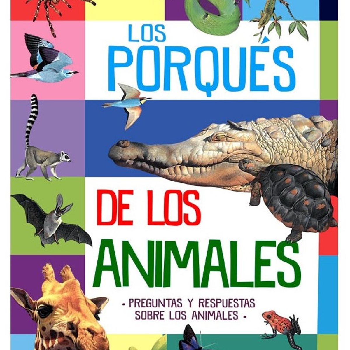 SILVER DOLPHIN - Los Porqués de los Animales