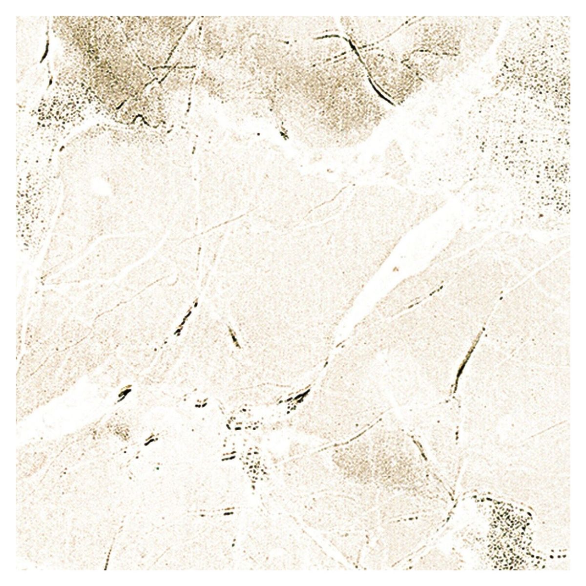 CONTACT - Kit Revestimiento vinilo adhesivo  03-773x3