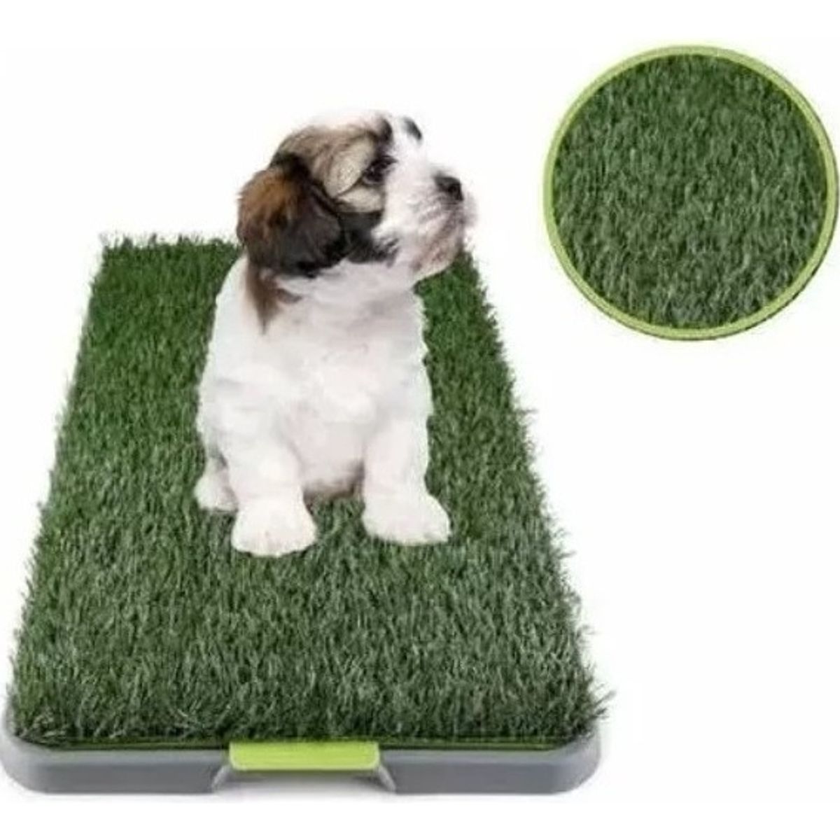 U BUY - Baño Perros Gato Potty Ecologico Grande Xxl Lavable