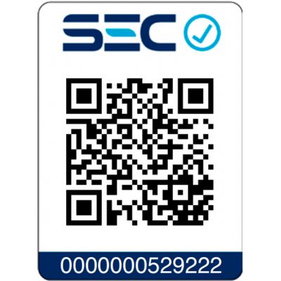 Imagen 2 del producto Cepillo Secador Pelo Multi Essenza 1200W EB063