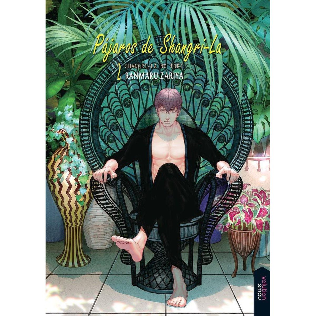 NOWEVOLUTION ESPAÑA - Manga Pajaros De Shangri La 2 - Nowevolution