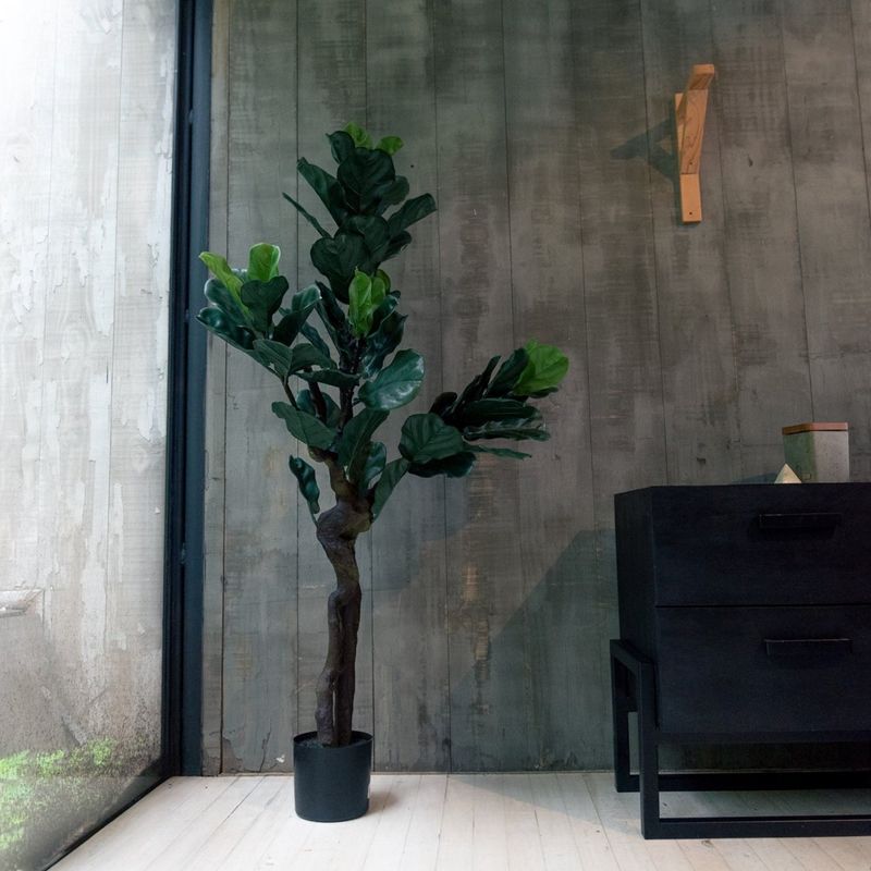 VADELL - FICUS LYRATA DE 150 CM, PROTECCIÓN UV VADELL HOME
