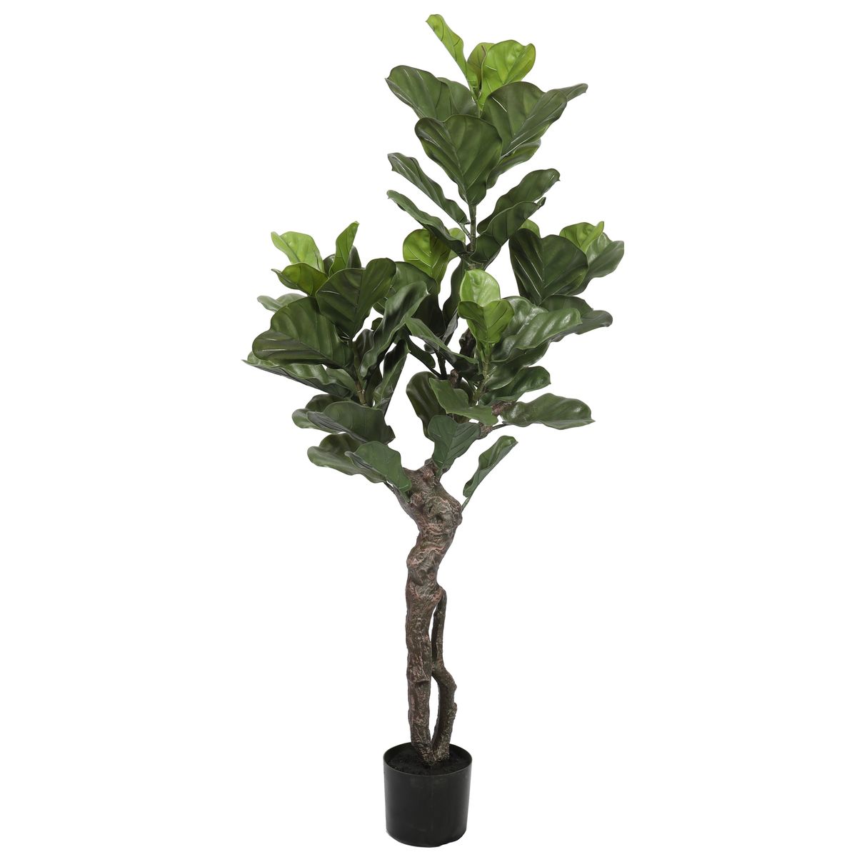 VADELL - FICUS LYRATA DE 150 CM, PROTECCIÓN UV VADELL HOME